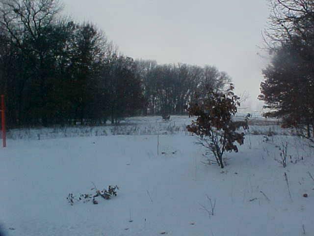 Tbd Foot Hills W Road Little Falls, MN 56345 - Photo 1 of 1 Gallery Image 1