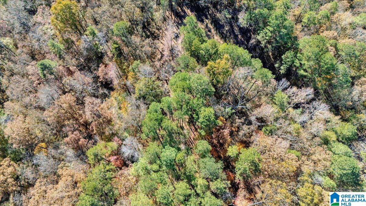 0 Hammock Road Trussville, AL 35173 - Photo 30 of 31