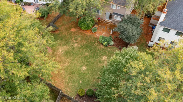 a view of a yard with plants and large trees