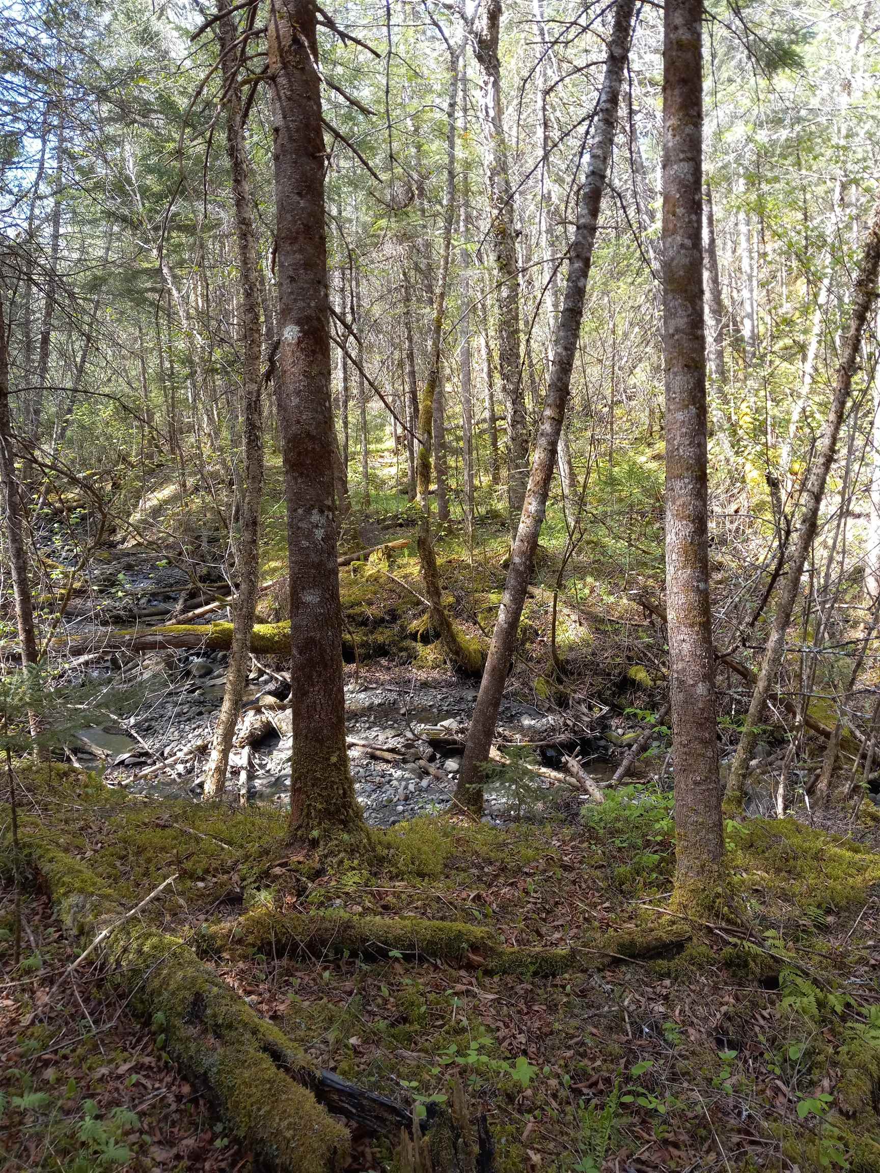 - Harrys Way Colebrook, NH 03576 - Photo 43 of 59