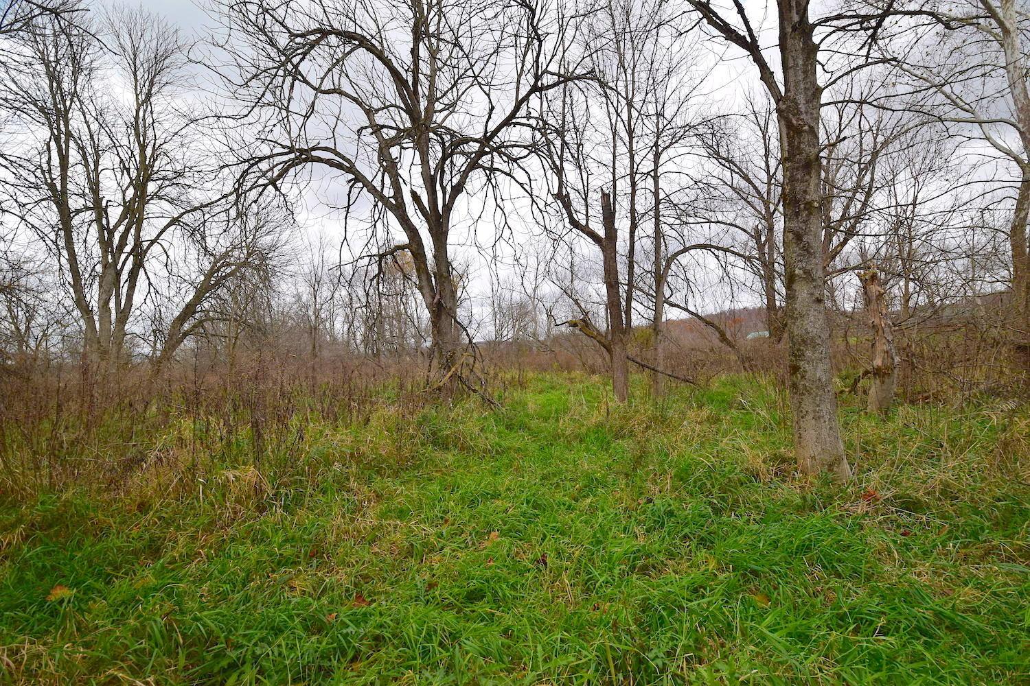 0 State Rte 97 East Bellville, OH 44813 - Photo 28 of 43
