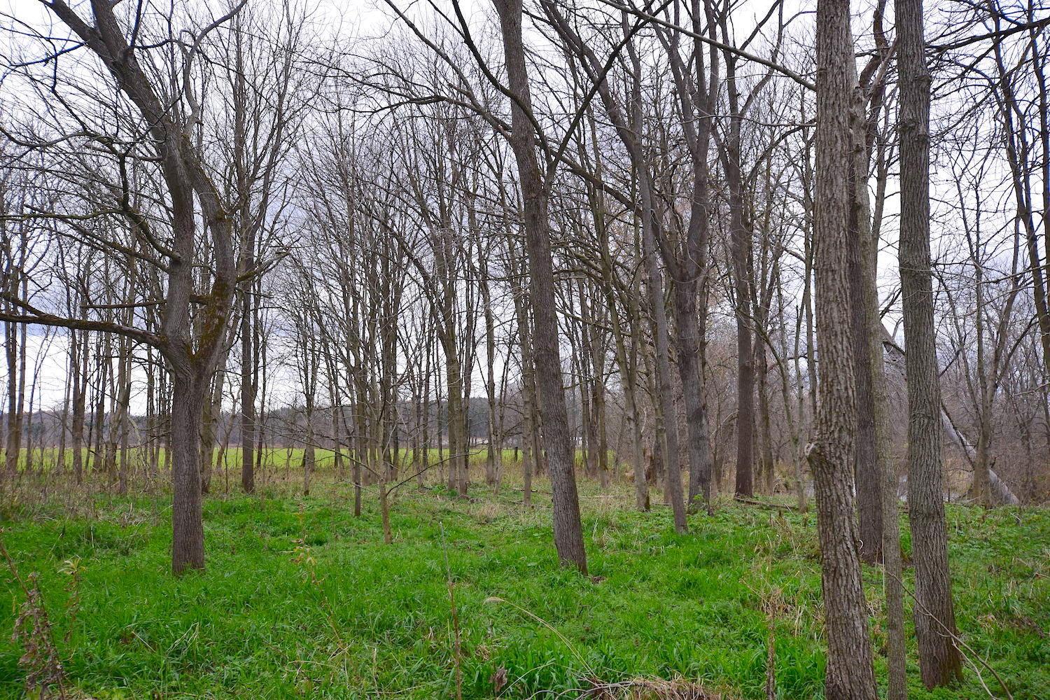 0 State Rte 97 East Bellville, OH 44813 - Photo 33 of 43