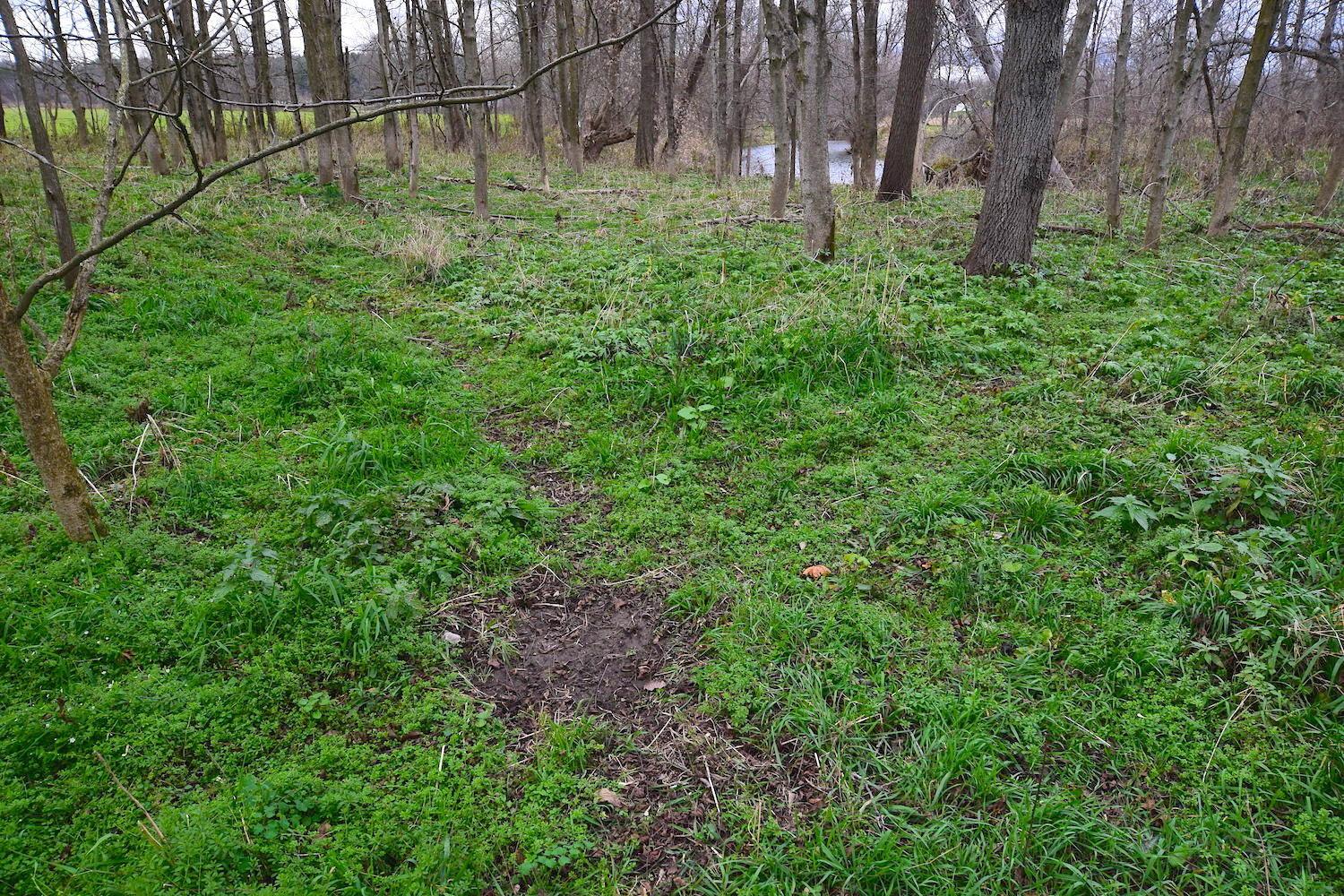 0 State Rte 97 East Bellville, OH 44813 - Photo 34 of 43