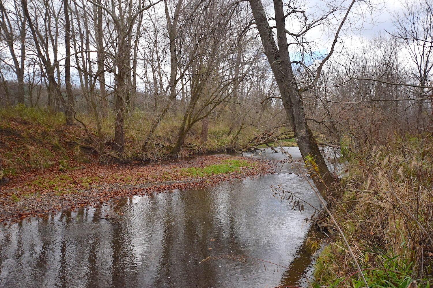 0 State Rte 97 East Bellville, OH 44813 - Photo 6 of 43