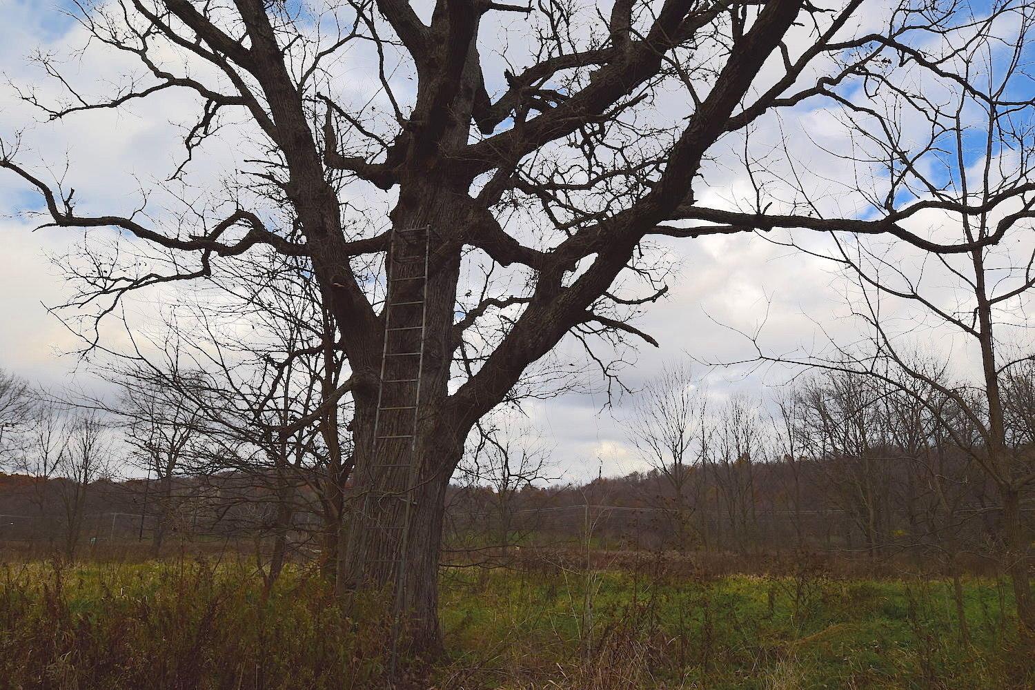 0 State Rte 97 East Bellville, OH 44813 - Photo 7 of 43