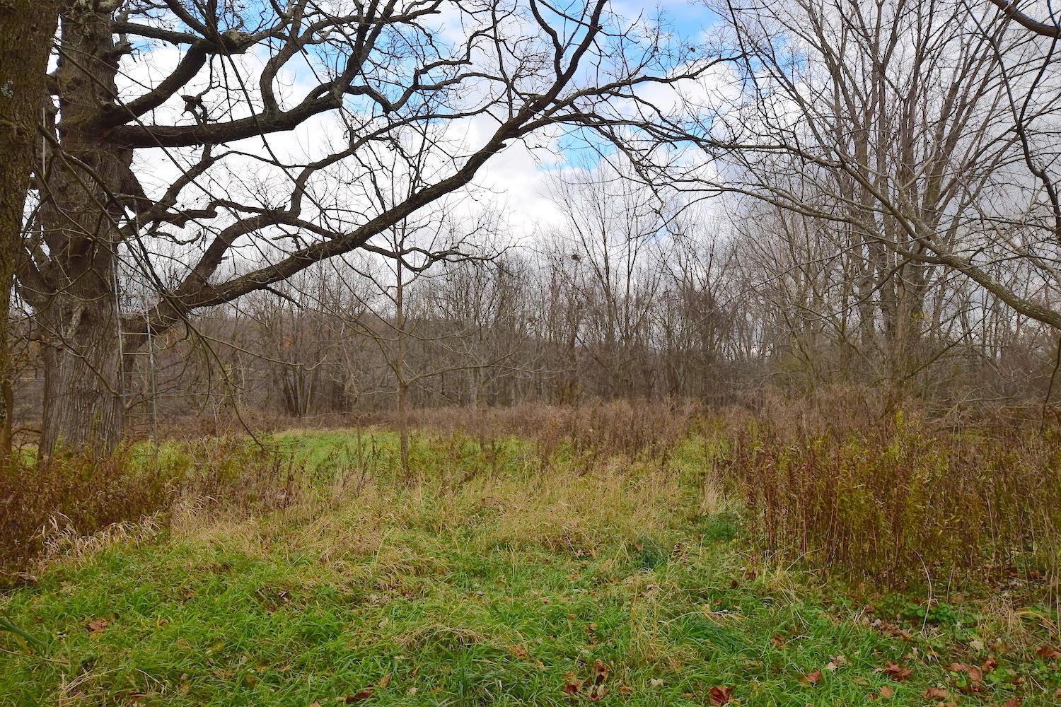 0 State Rte 97 East Bellville, OH 44813 - Photo 8 of 43