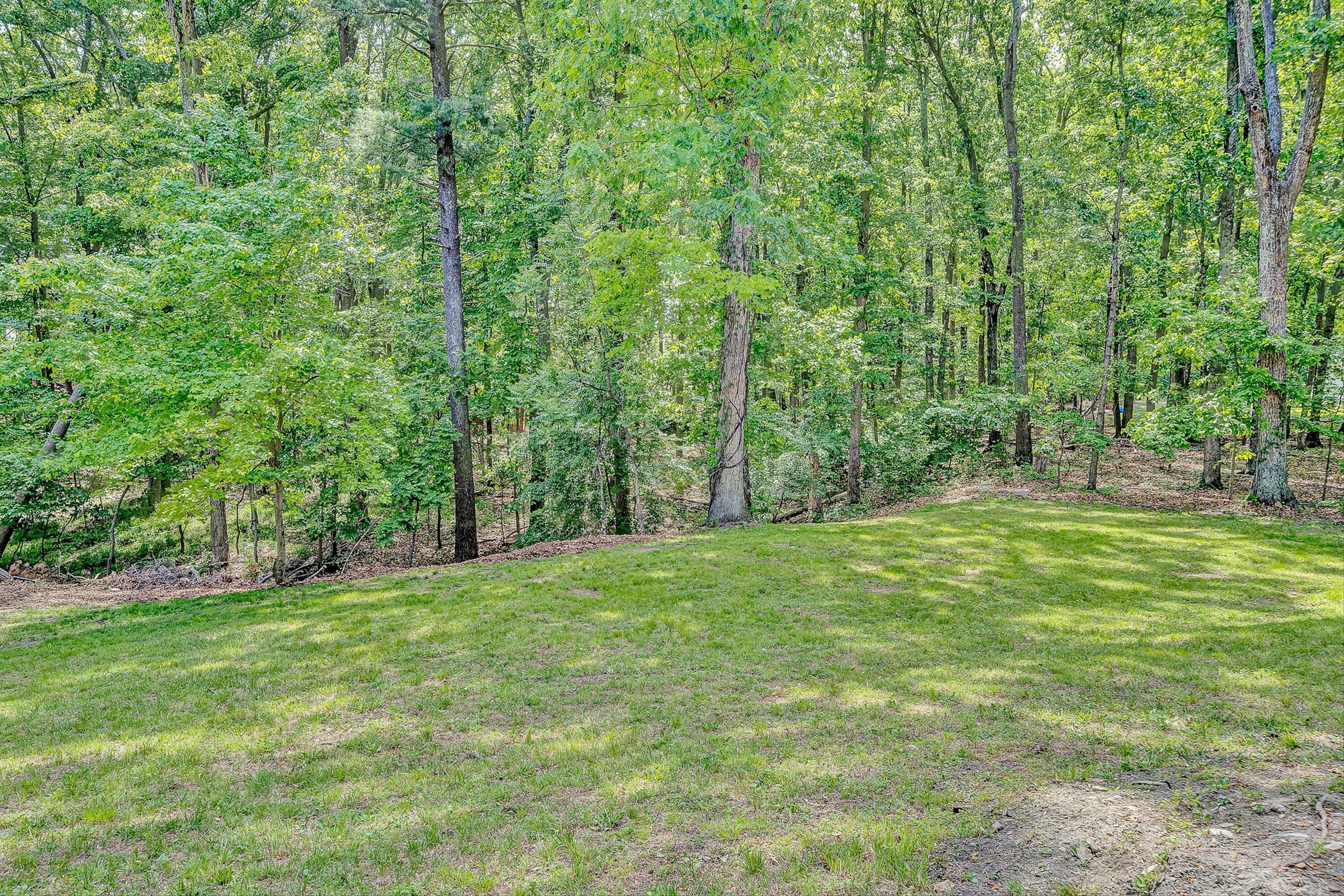 730 Texas Hollow Road Salem, VA 24153 - Photo 38 of 39 a view of a field with trees in the background