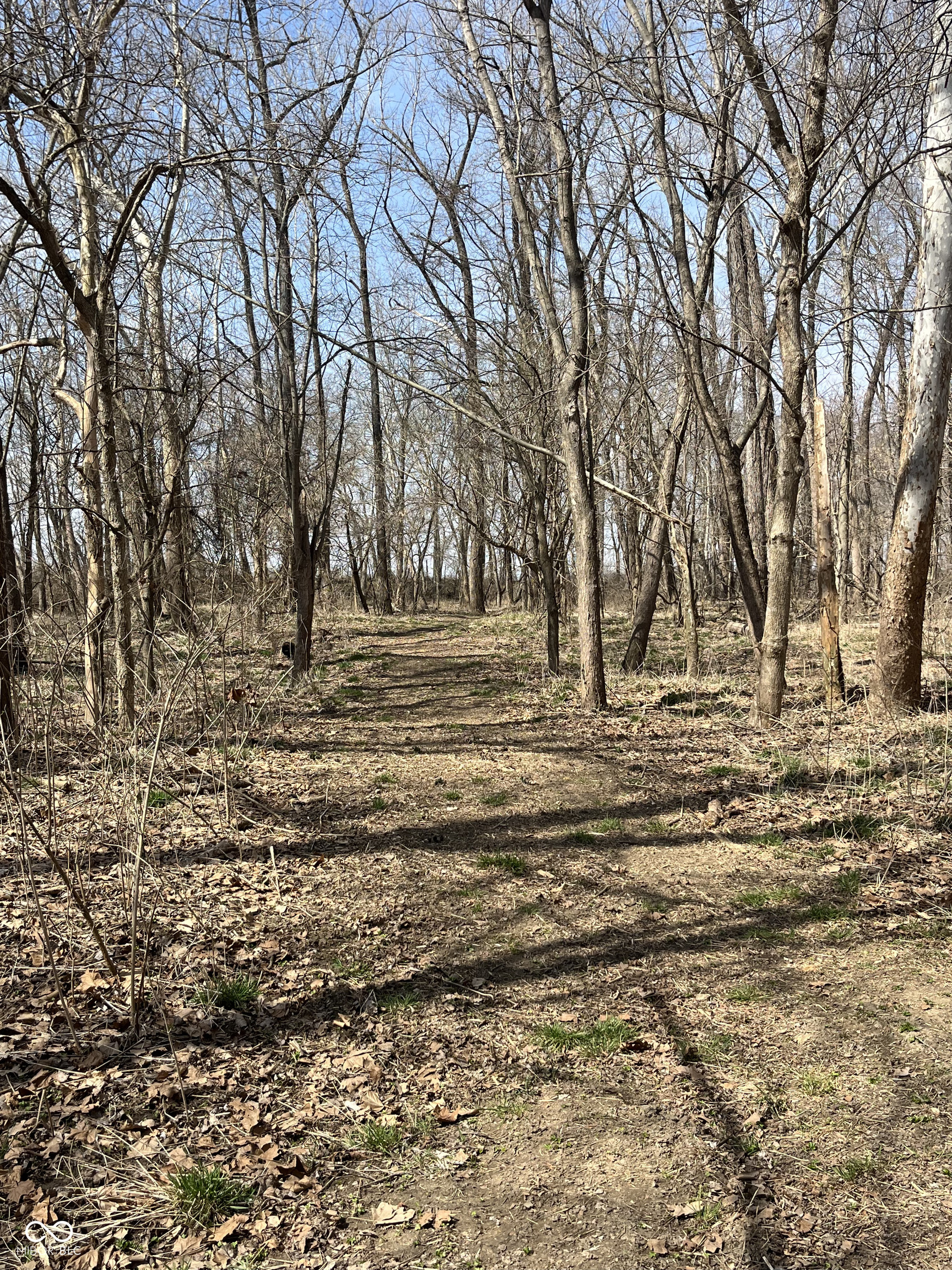 0 River Road Columbus, IN 47201 - Photo 11 of 16