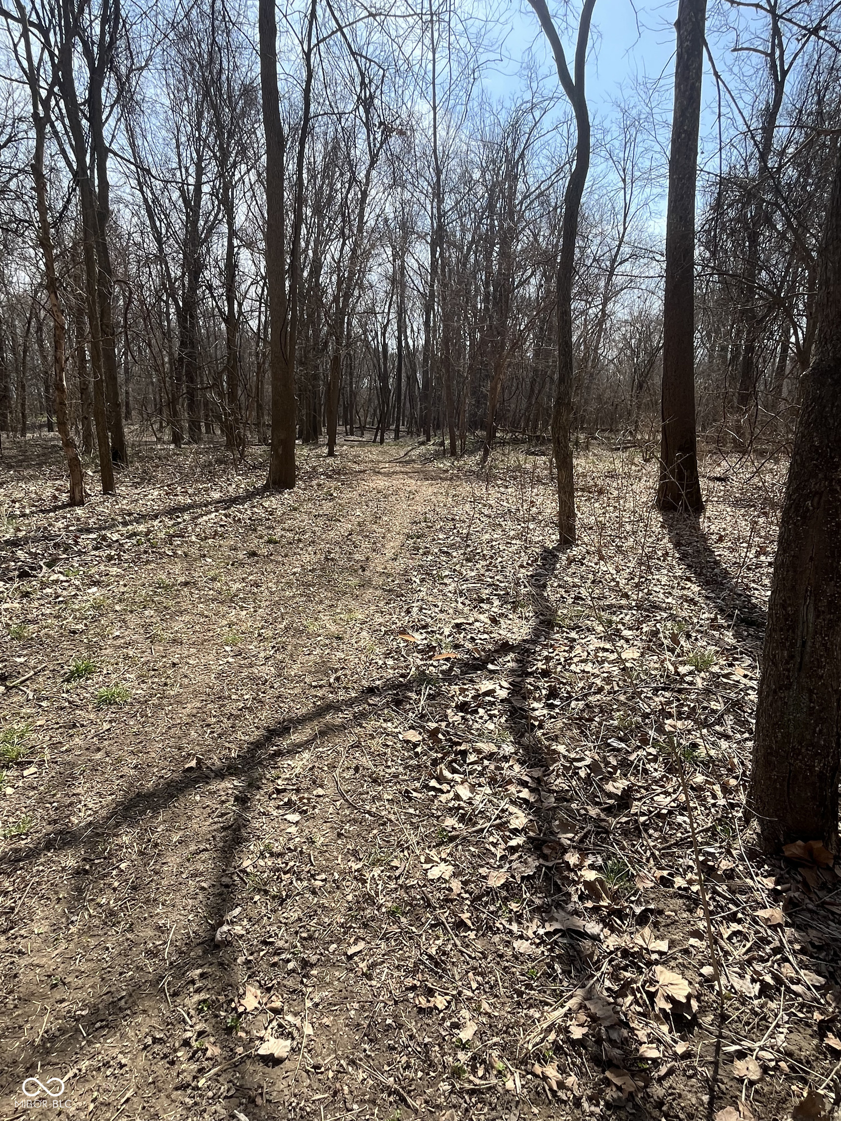 0 River Road Columbus, IN 47201 - Photo 12 of 16