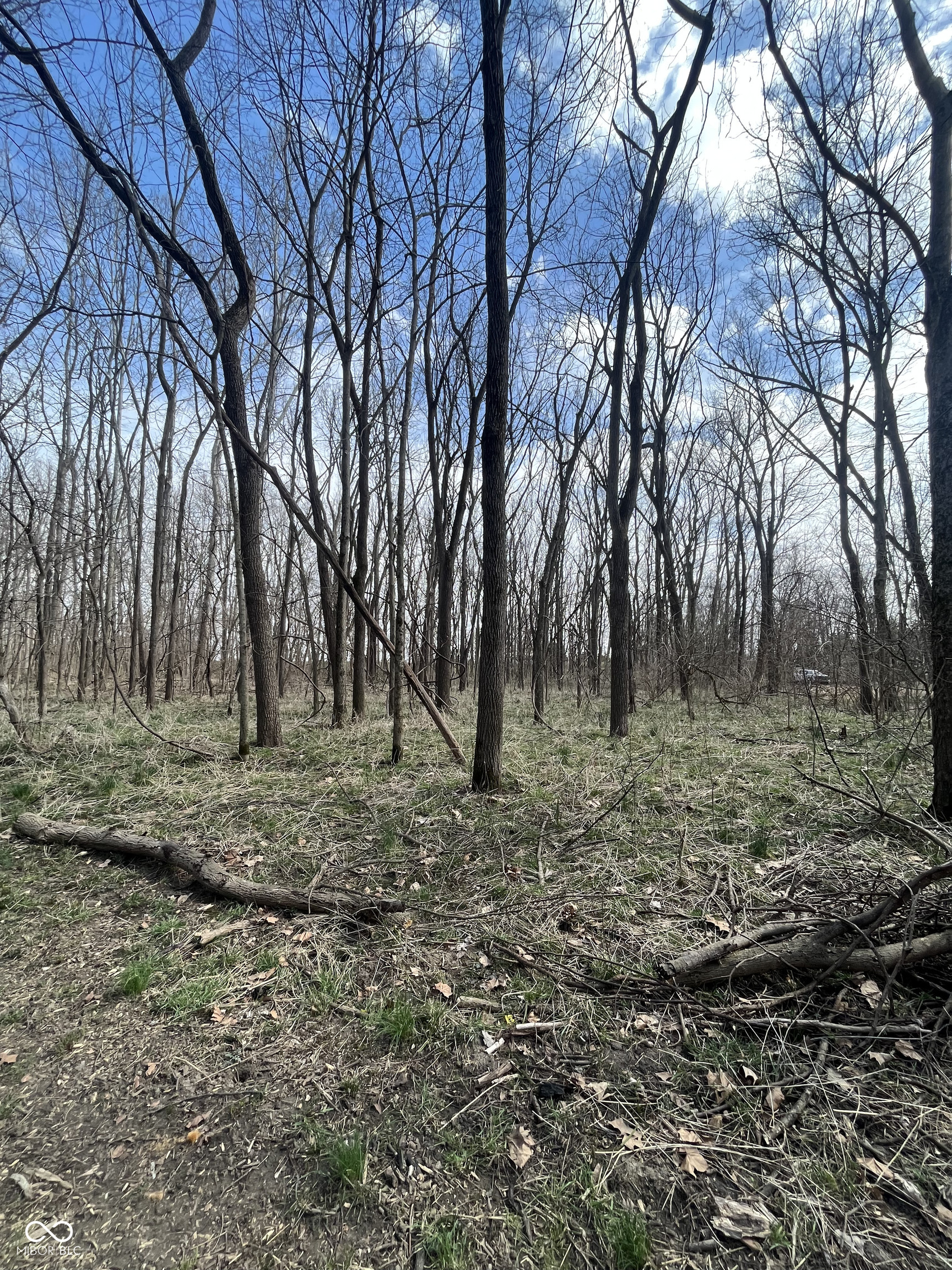 0 River Road Columbus, IN 47201 - Photo 8 of 16