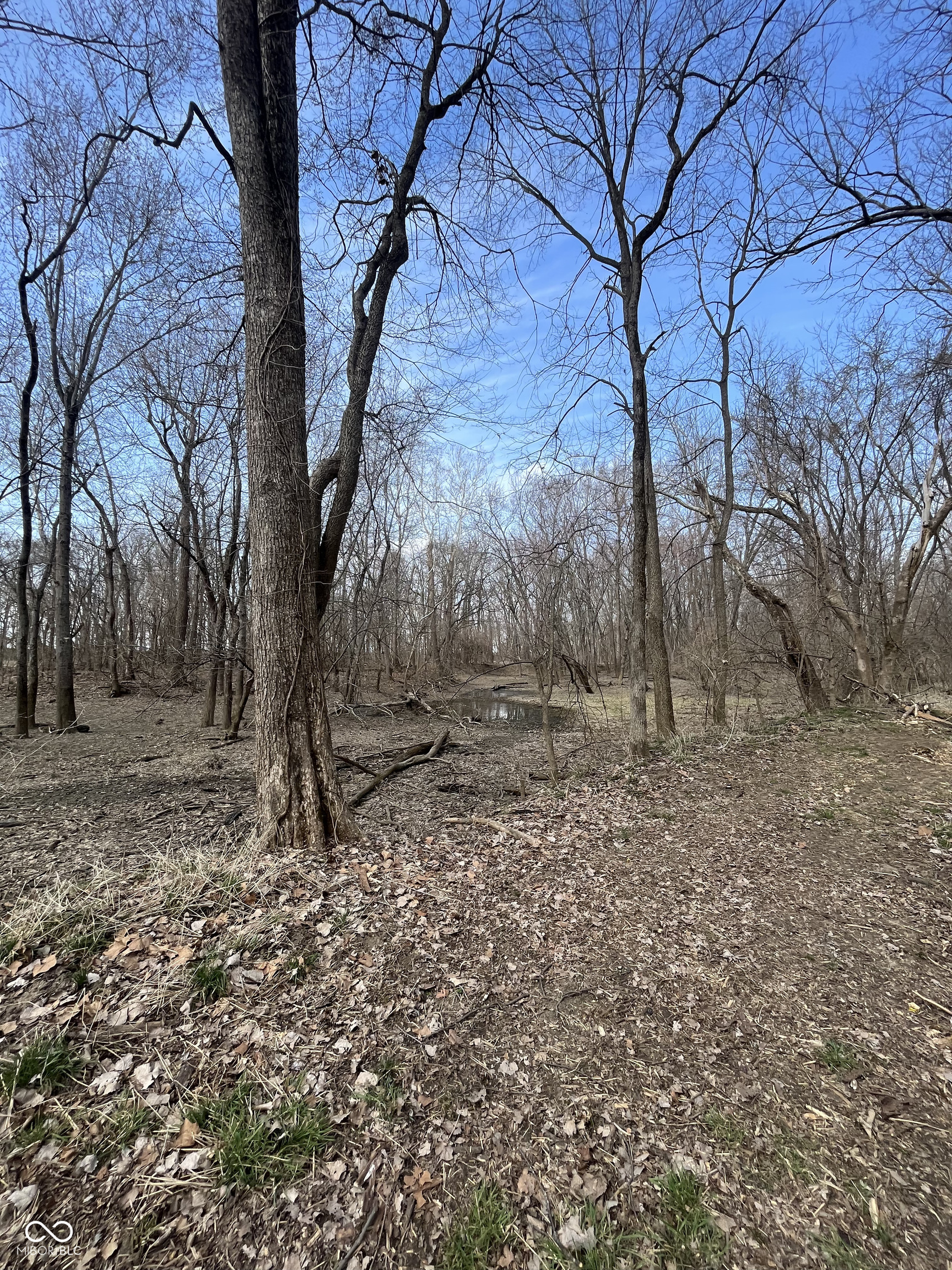 0 River Road Columbus, IN 47201 - Photo 9 of 16