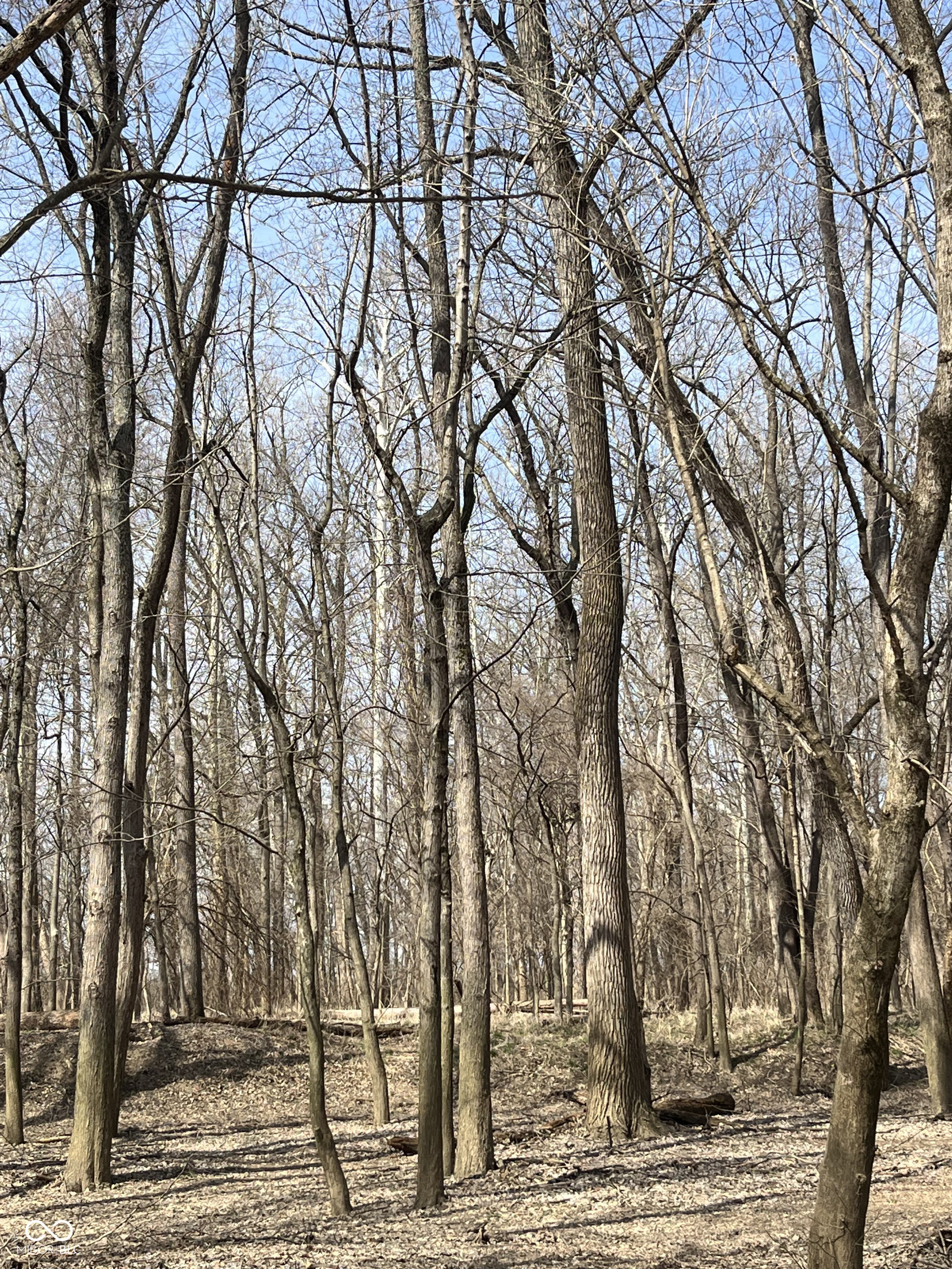 0 River Road Columbus, IN 47201 - Photo 10 of 16