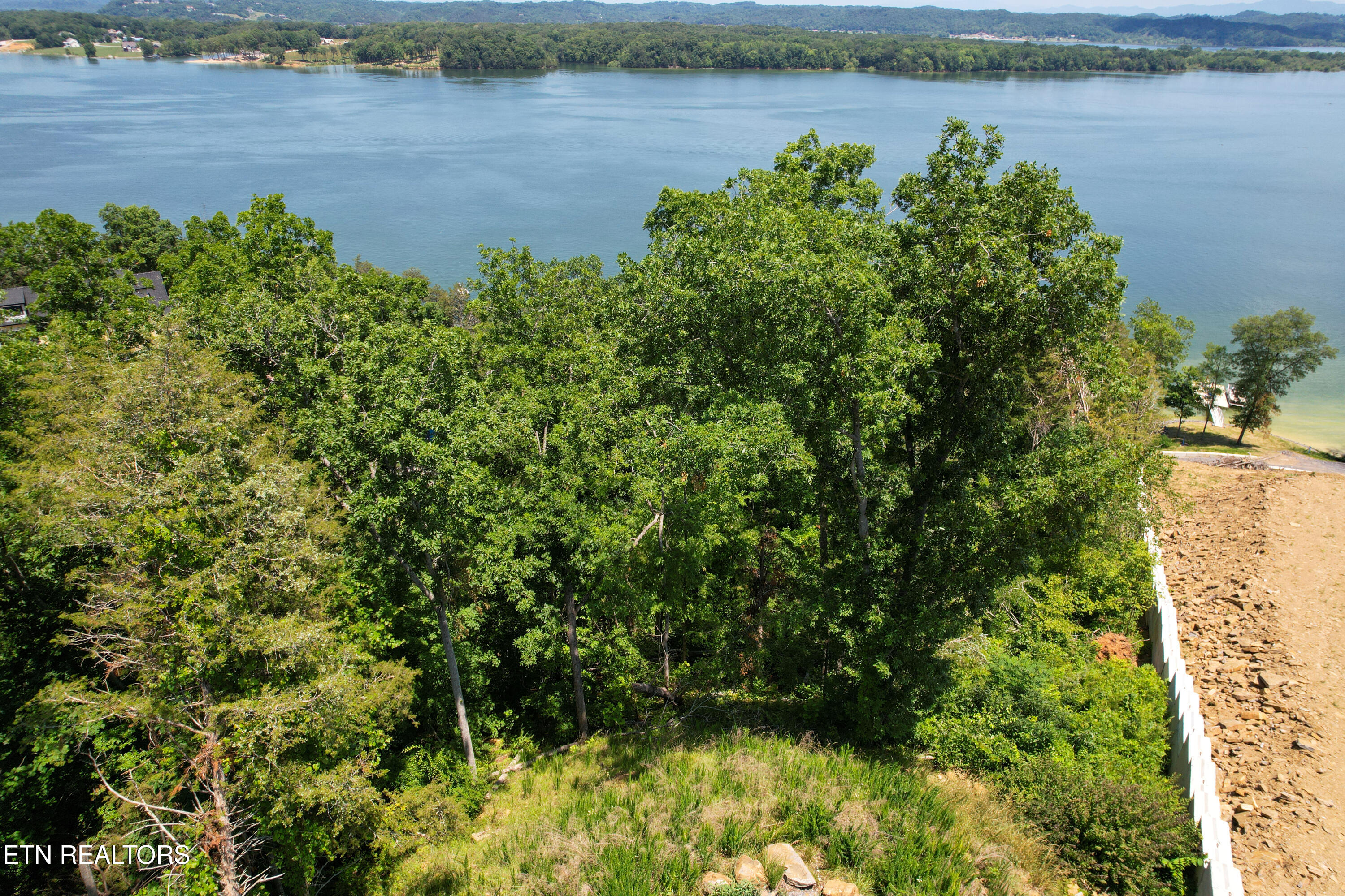 Lot 74 Clear Point Trail Dandridge, TN 37725 - Photo 15 of 24 dji_fly_20230602_140756_785_168572964929