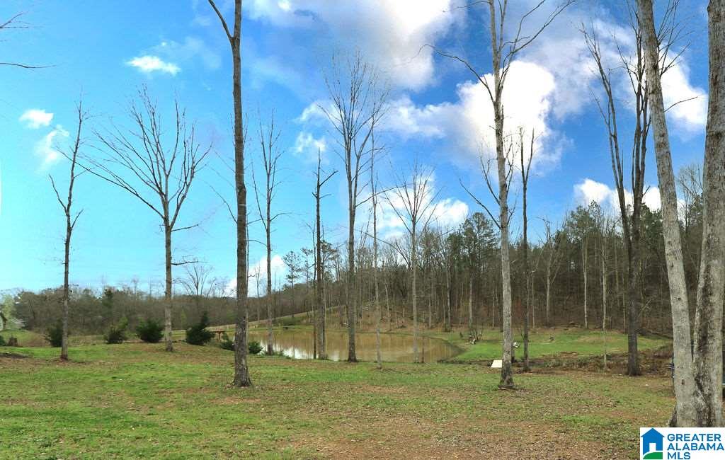 85 County Road 910 Delta, AL 36258 - Photo 21 of 49