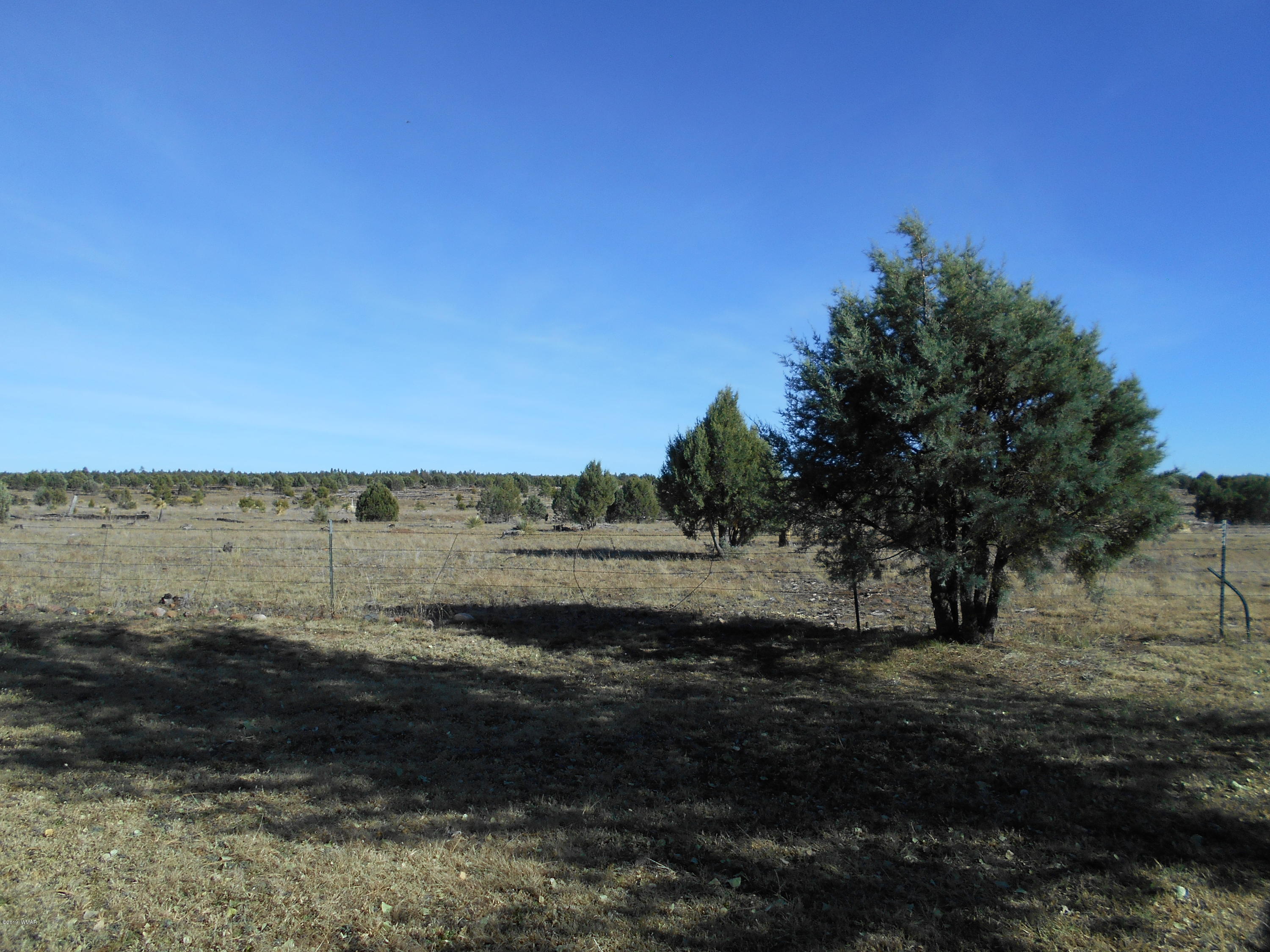 2727 High Pine Loop Overgaard, AZ 85933 - Photo 22 of 27 Gallery Image 22