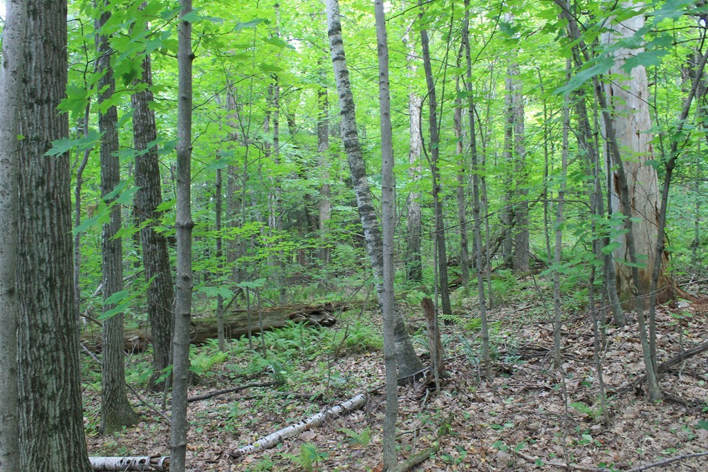 0 Merriam Road Princeton, MA 01541 - Photo 9 of 25 Gallery Image 9