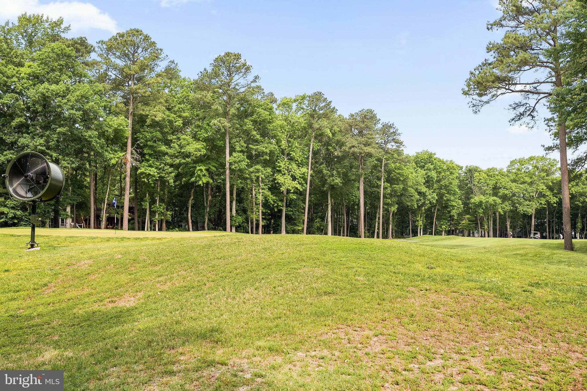 9 Drawbridge Road Berlin, MD 21811 - Photo 19 of 60 Golf Course Views