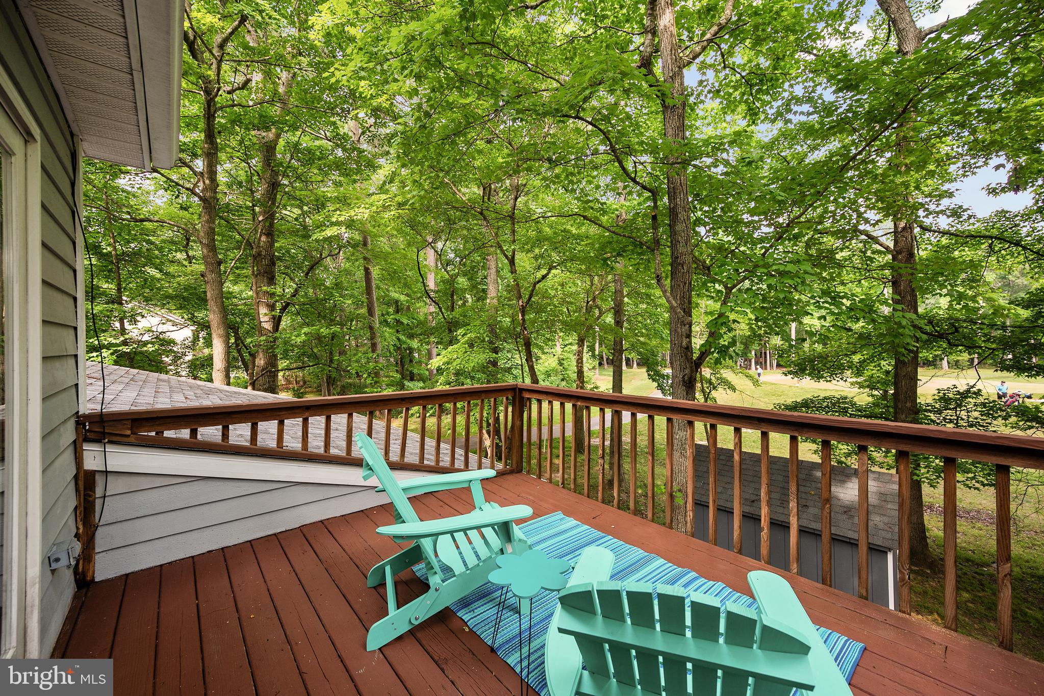 9 Drawbridge Road Berlin, MD 21811 - Photo 45 of 60 2nd Floor Deck