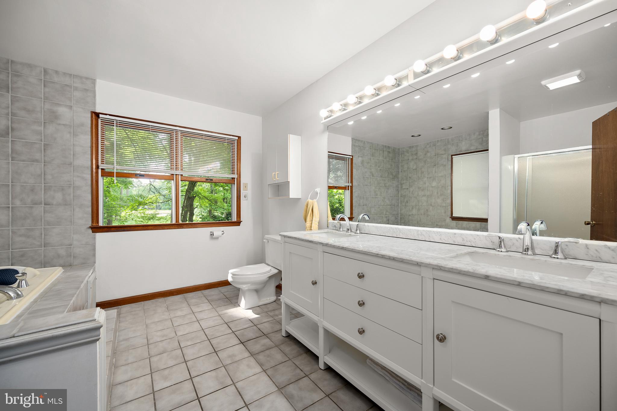 9 Drawbridge Road Berlin, MD 21811 - Photo 46 of 60 Master Bathroom