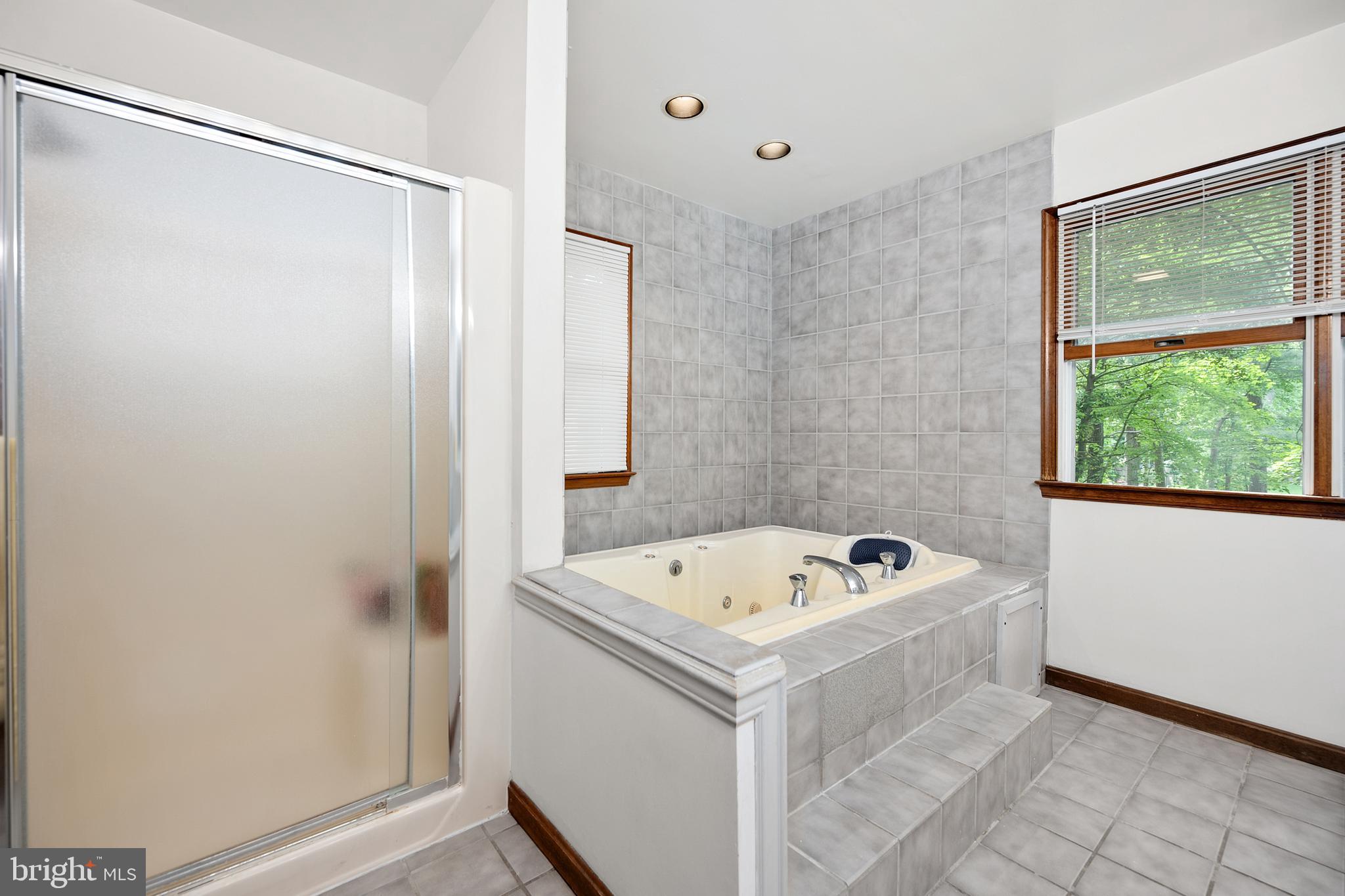 9 Drawbridge Road Berlin, MD 21811 - Photo 48 of 60 Master Bathroom