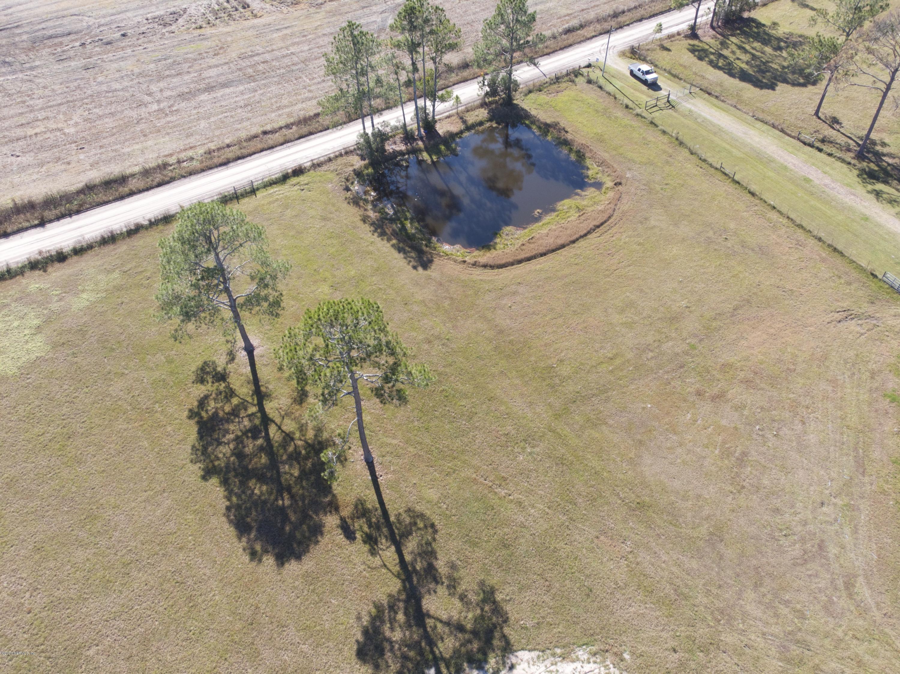 11101 Aaron Fish Road Glen St. Mary, FL 32040 - Photo 39 of 44 a view of a plant