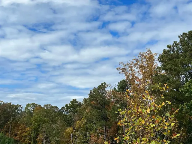 a view of a big yard with lots of bushes