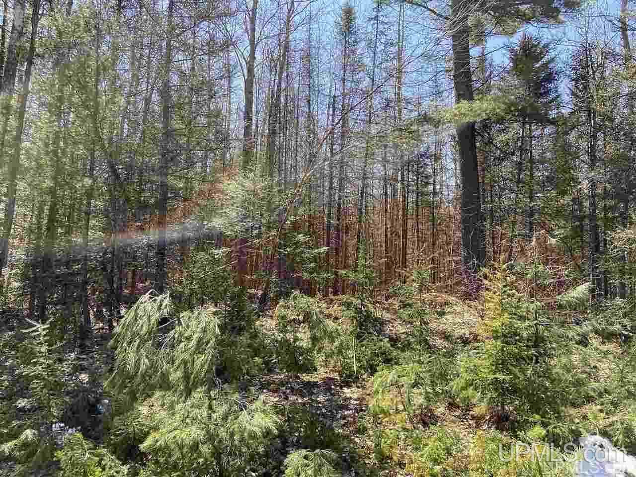 Tbd Tbd Off Powerline Gwinn, MI 49841 - Photo 3 of 28