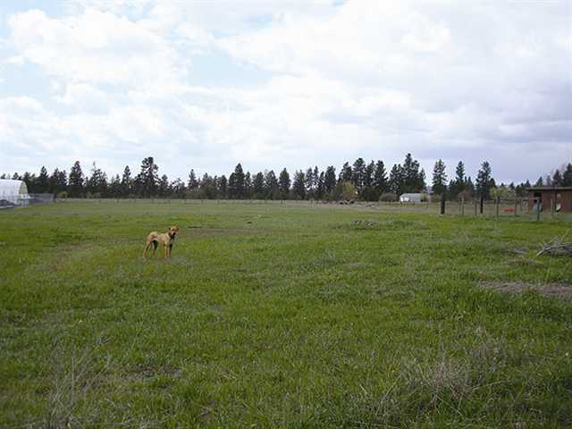 1625 North Flora Road Spokane Valley, WA 99016 - Photo 8 of 9 Gallery Image 8