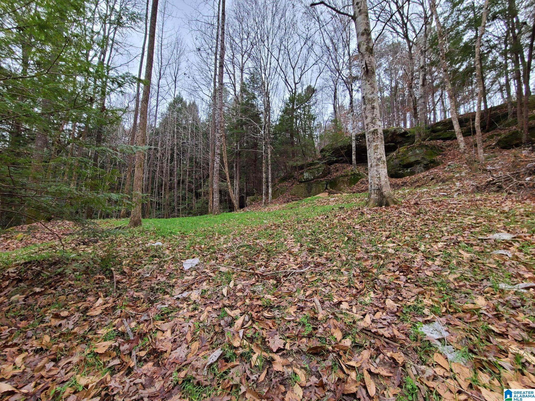 2 County Road 2, Unit 50 / ACRES Double Springs, AL 35553 - Photo 7 of 79
