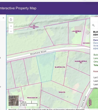 a view of a lush green forest