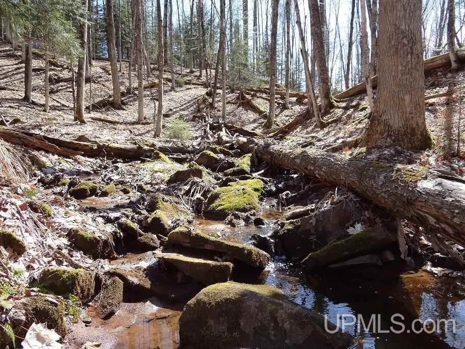 Tbd Wadaga Road Baraga, MI 49908 - Photo 13 of 17 Gallery Image 13