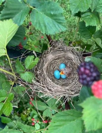 $449,000 | 202 Allendale Boulevard, McMinnville, TN 37110