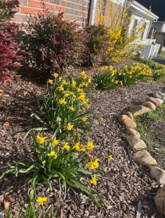 $449,000 | 202 Allendale Boulevard, McMinnville, TN 37110