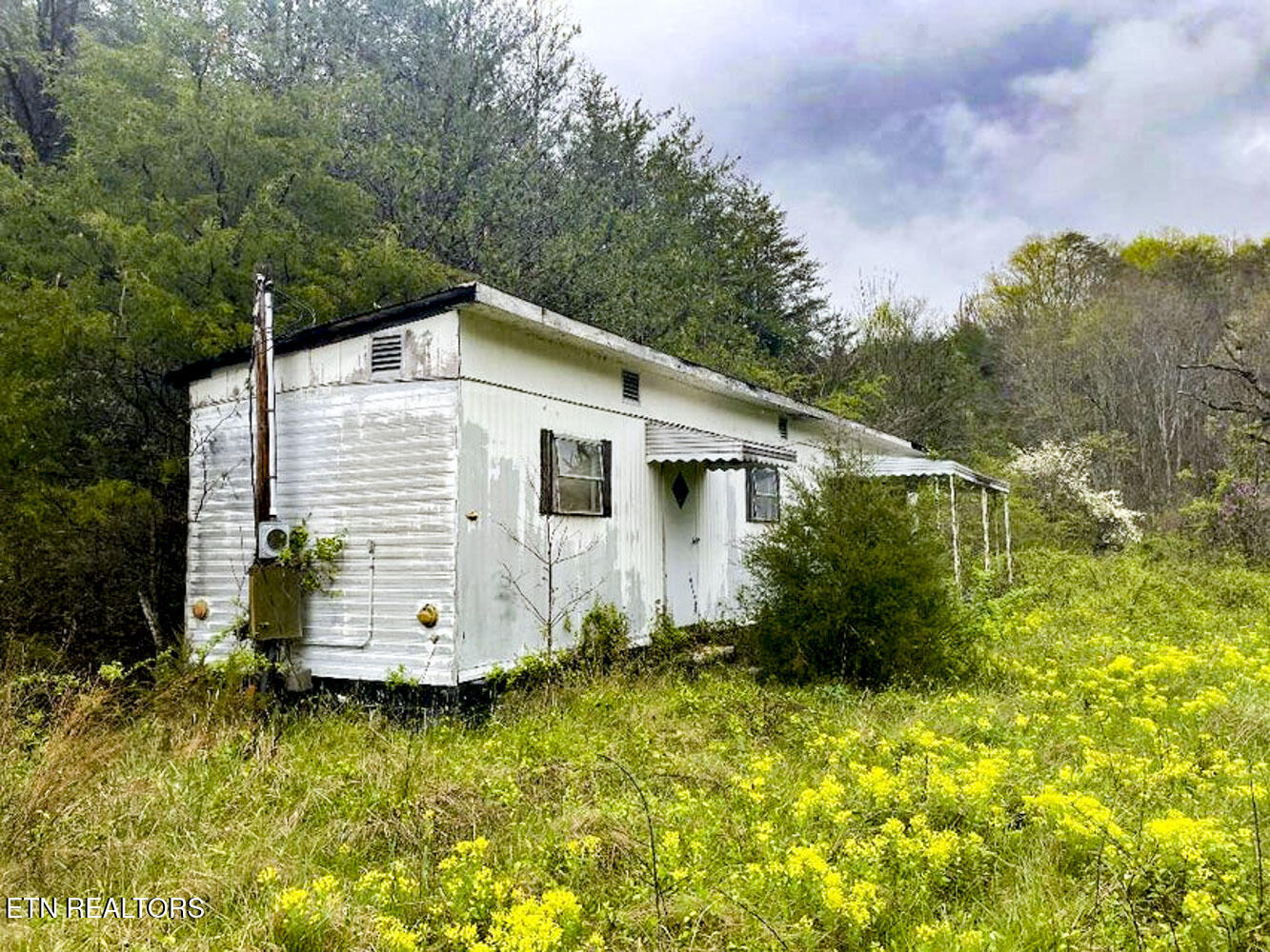 2534 Muddy Hollow Road Dandridge, TN 37725 - Photo 14 of 39 c