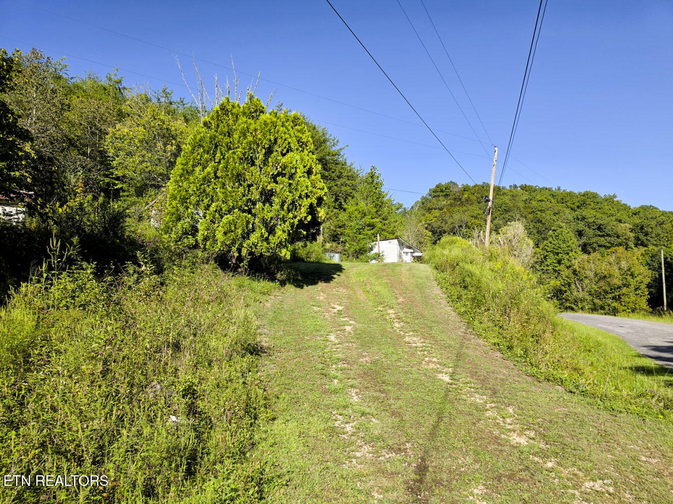 2534 Muddy Hollow Road Dandridge, TN 37725 - Photo 17 of 39 e (1)