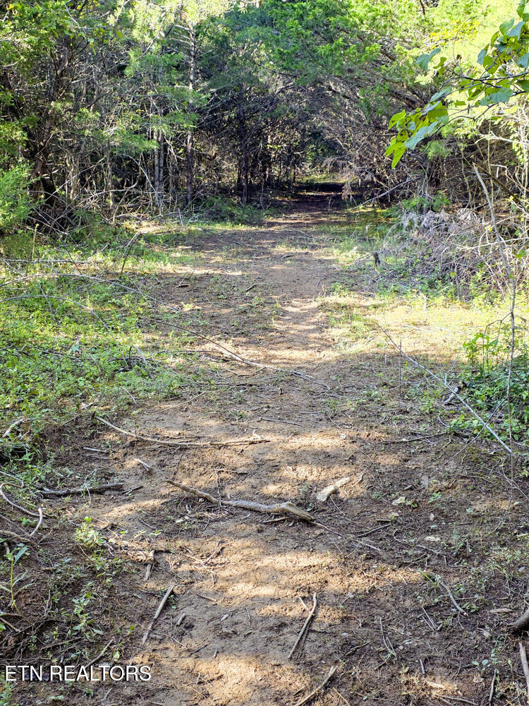 2534 Muddy Hollow Road Dandridge, TN 37725 - Photo 20 of 39 e (4)
