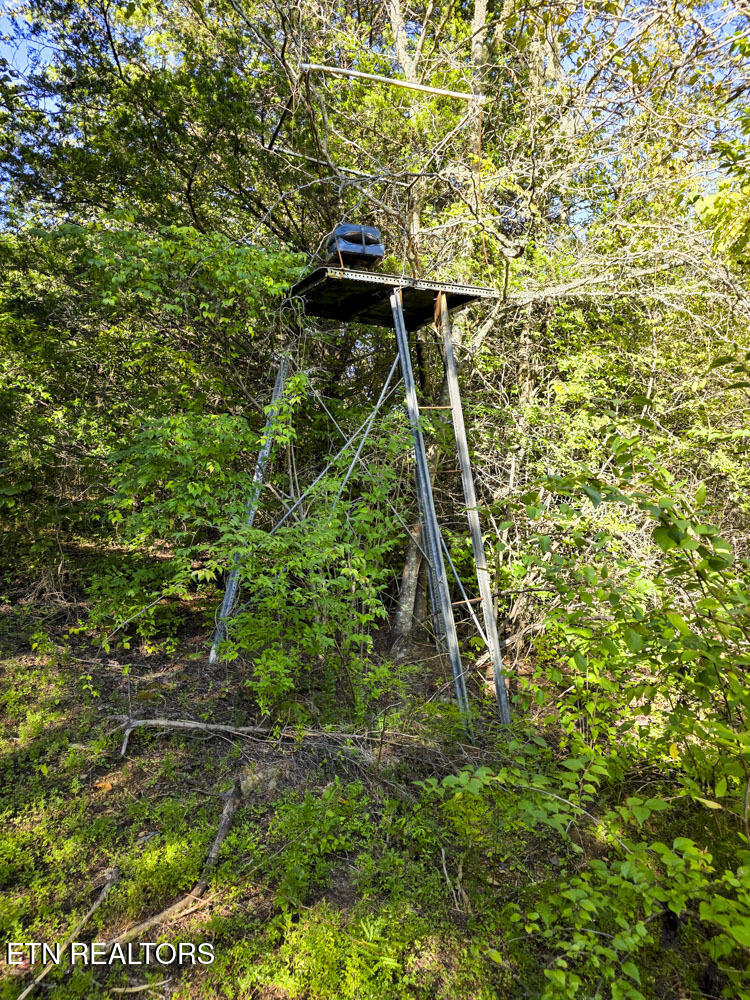 2534 Muddy Hollow Road Dandridge, TN 37725 - Photo 21 of 39 e (5)