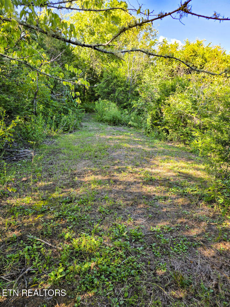 2534 Muddy Hollow Road Dandridge, TN 37725 - Photo 22 of 39 e (6)