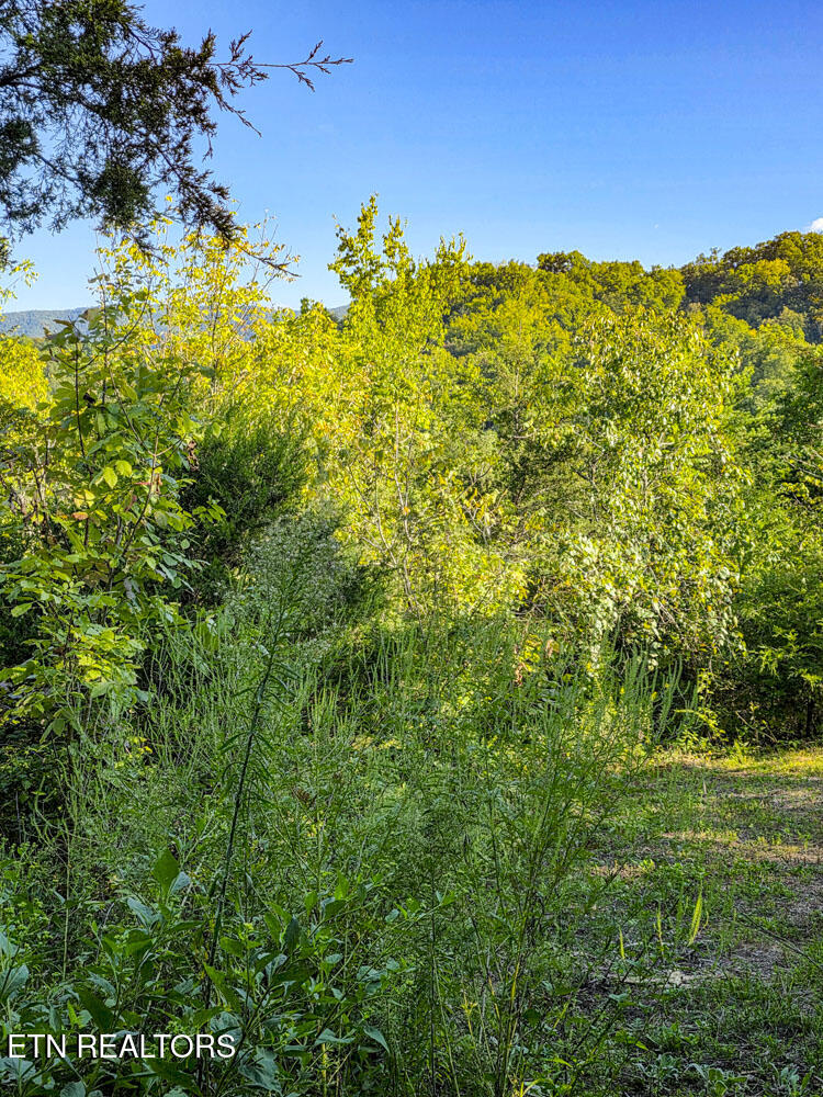 2534 Muddy Hollow Road Dandridge, TN 37725 - Photo 24 of 39 e (8)