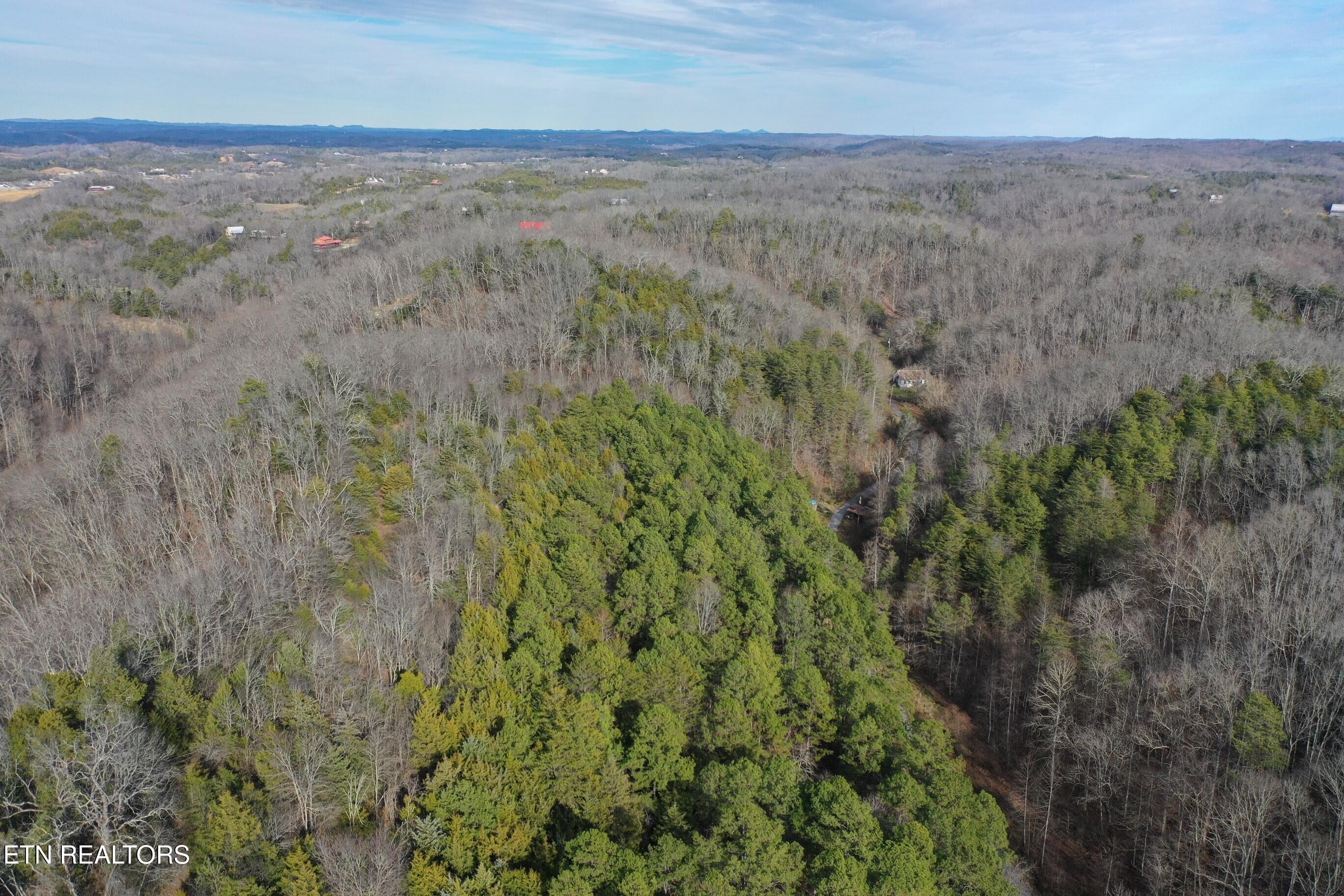 2534 Muddy Hollow Road Dandridge, TN 37725 - Photo 31 of 39 5