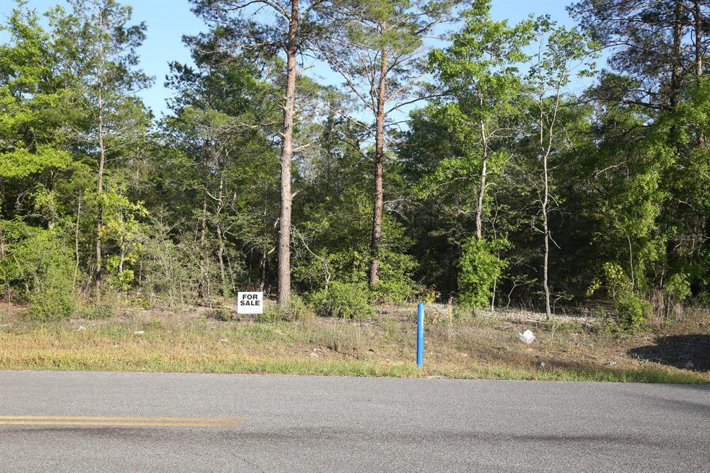 Donatello Road DeFuniak Springs, FL 32433 - Photo 14 of 17 Gallery Image 14