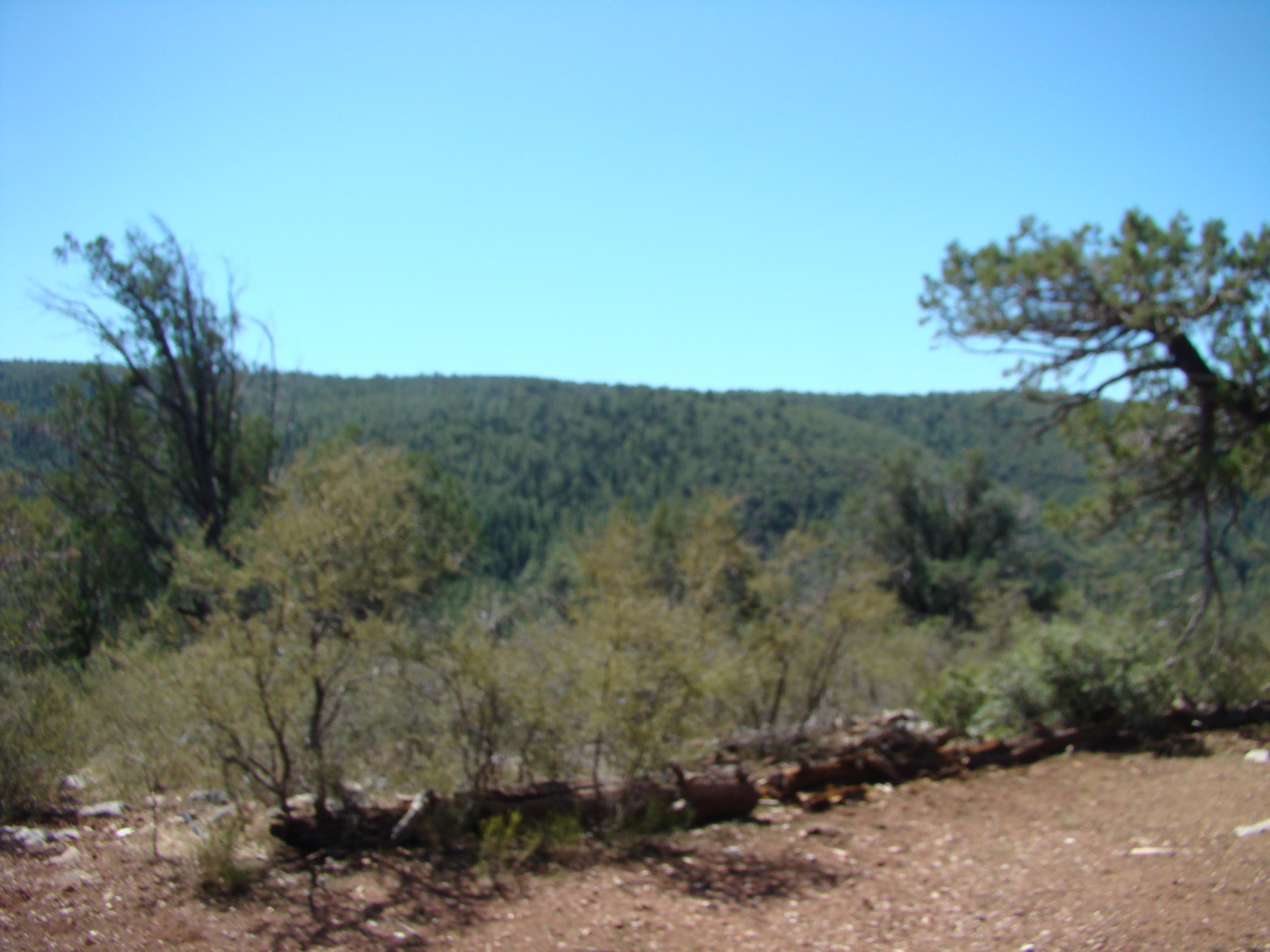 17033 Fire Control Road Payson, AZ 85541 - Photo 23 of 28