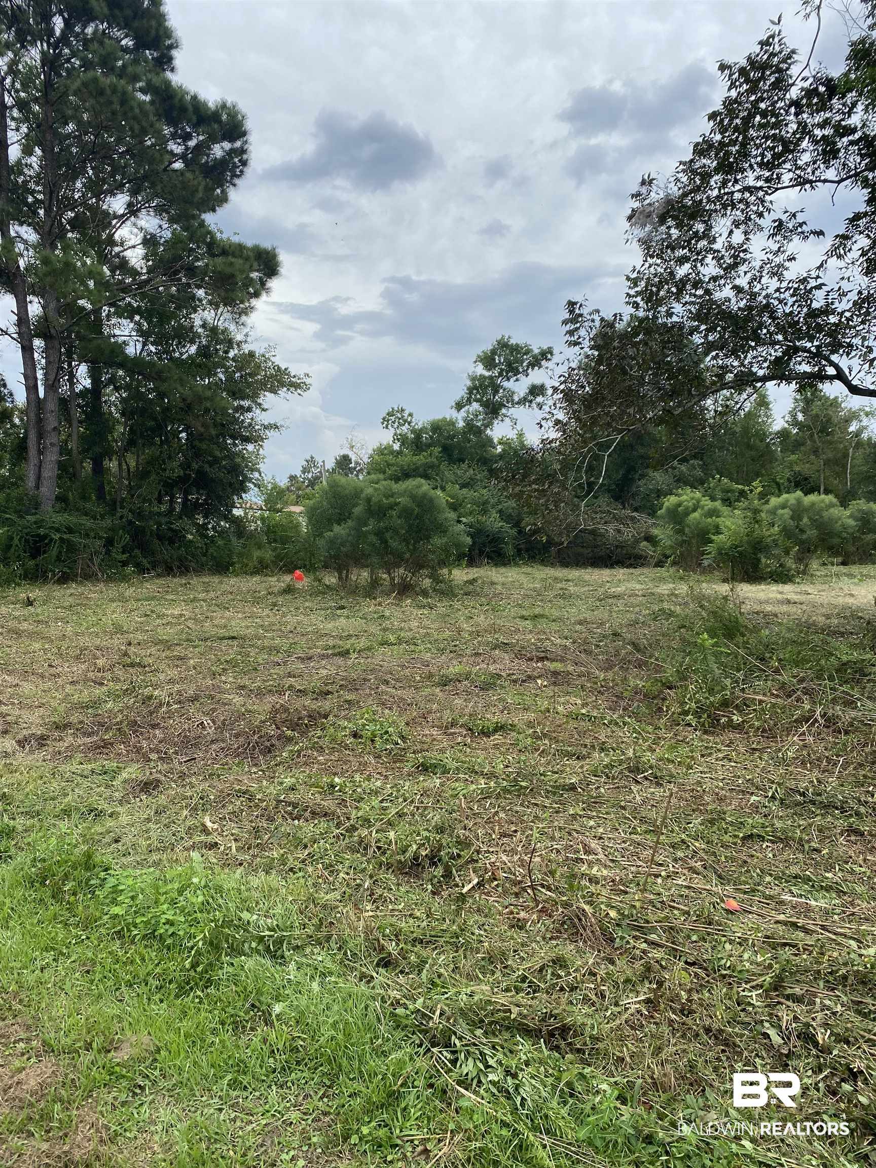 7498 A Rabbit Run Road Fairhope, AL 36532 - Photo 2 of 5