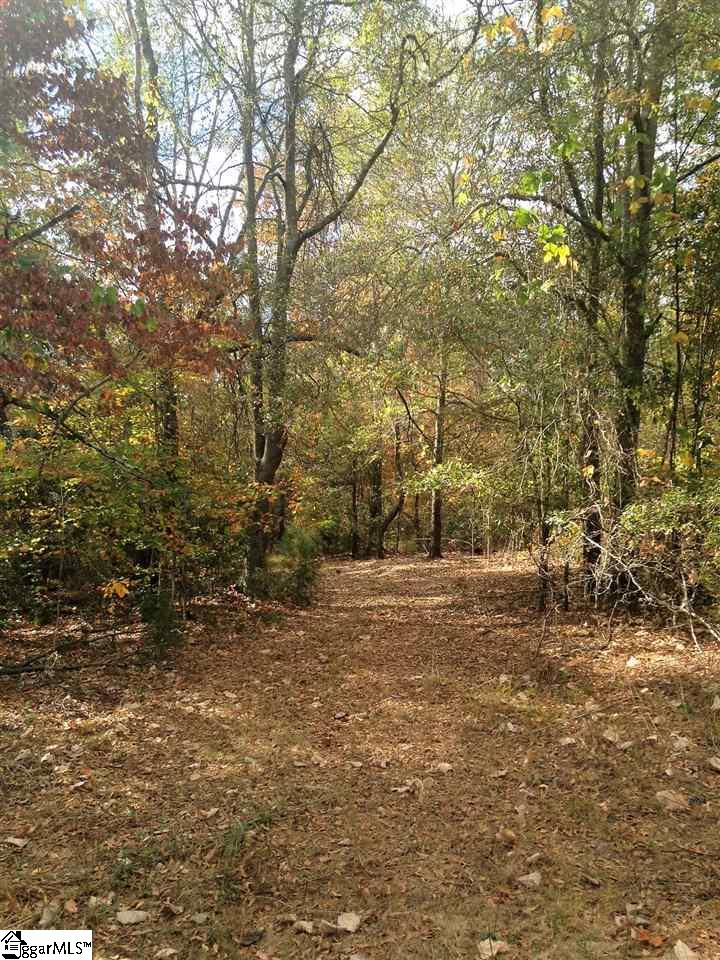 3650 Fork Shoals Road Pelzer, SC 29669 - Photo 2 of 11