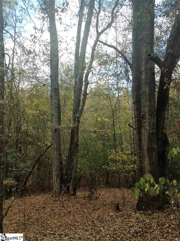 3650 Fork Shoals Road Pelzer, SC 29669 - Photo 3 of 11