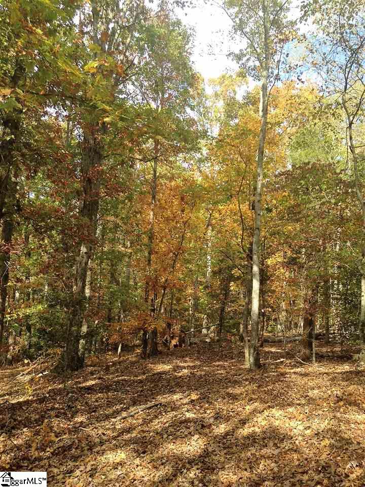 3650 Fork Shoals Road Pelzer, SC 29669 - Photo 4 of 11