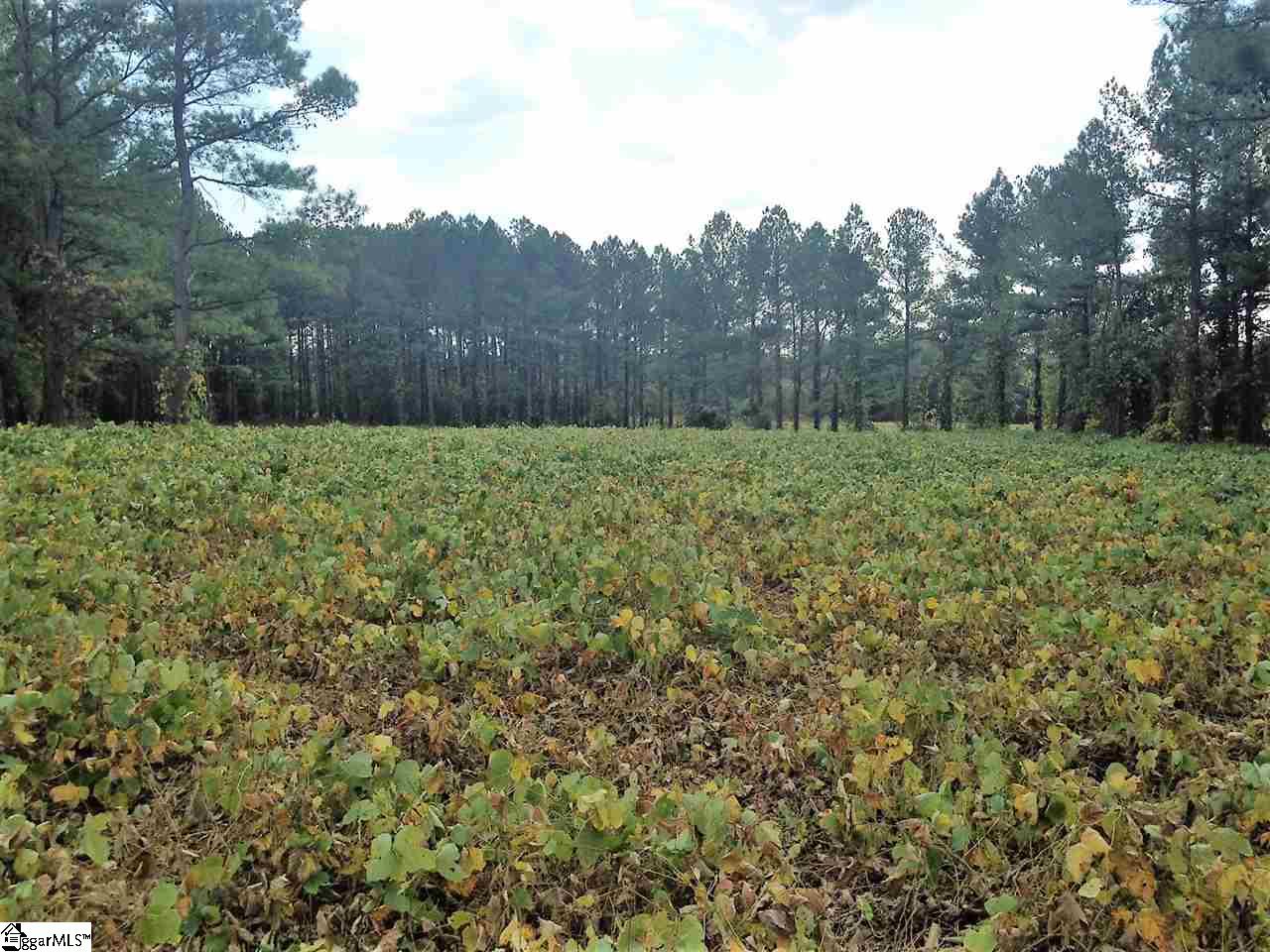 3650 Fork Shoals Road Pelzer, SC 29669 - Photo 5 of 11