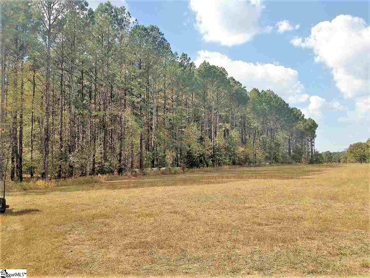 3650 Fork Shoals Road Pelzer, SC 29669 - Photo 8 of 11