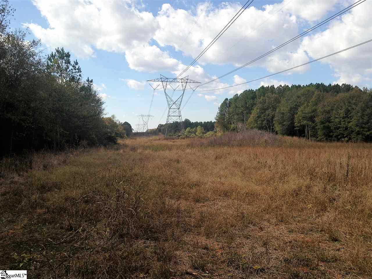 3650 Fork Shoals Road Pelzer, SC 29669 - Photo 10 of 11