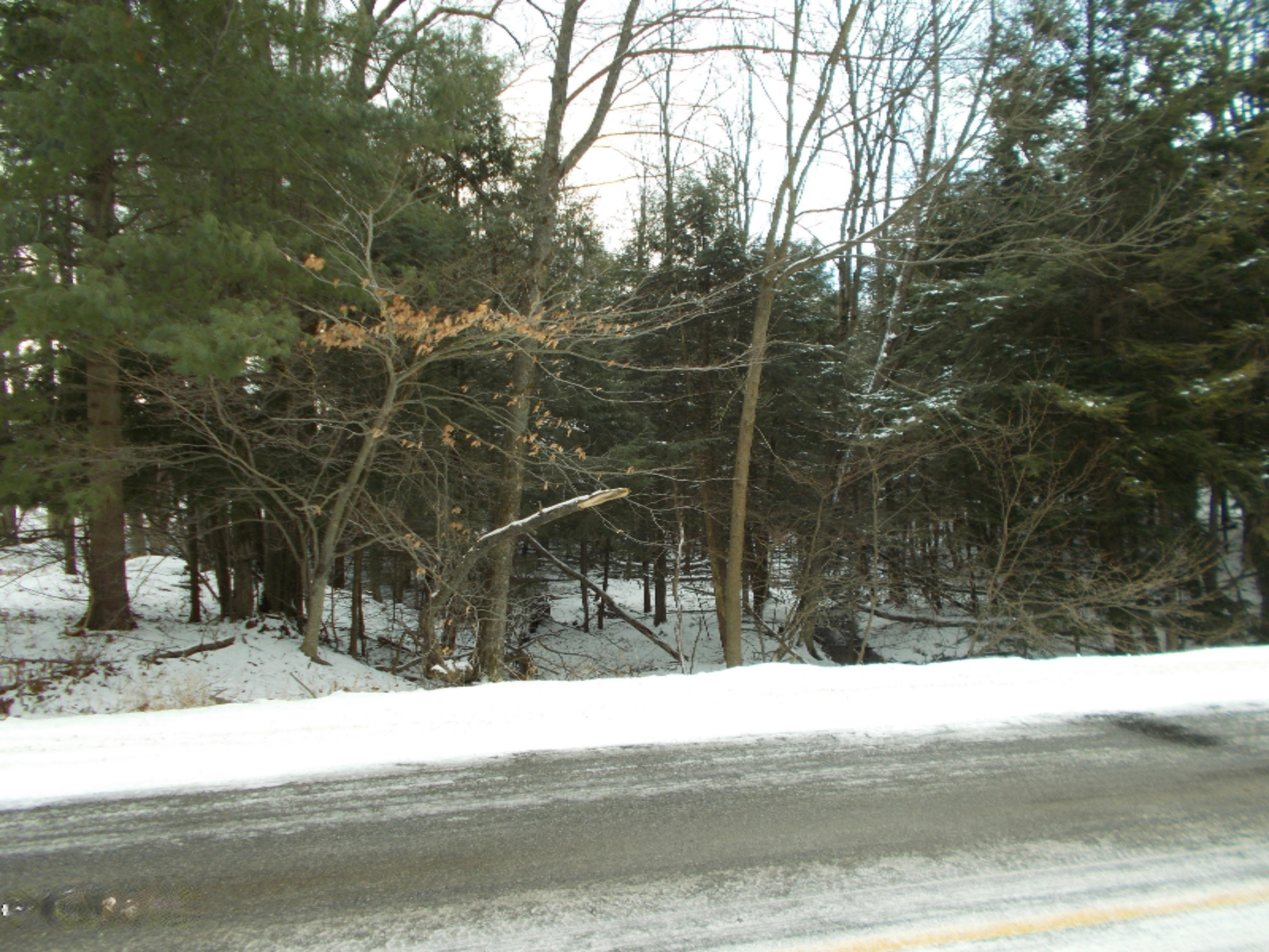 DSCN0477